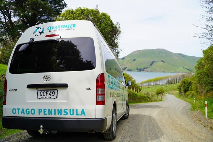 Clearwater Private Penguin & Wildlife Tour: Otago Peninsula Wildlife Viewing from Port Otago photo 5