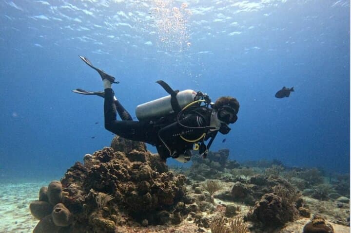 PADI Open Water Diver Course in Cozumel — 3-Day Certification on the Marine Park Reefs photo 1