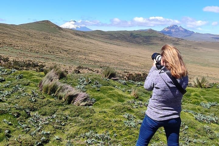 Antisana Reserve Condors & Andean Wildlife — Full-Day Private Tour from Quito