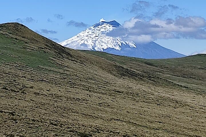 Antisana Reserve Condors & Andean Wildlife — Full-Day Private Tour from Quito photo 2