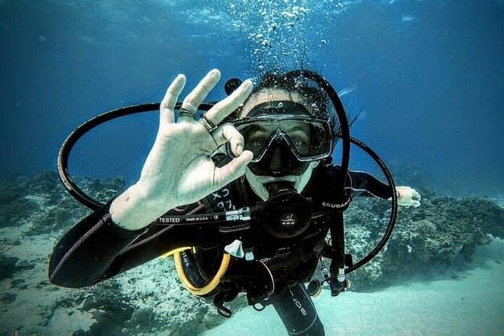 Cozumel Two-Tank Dive in National Park: Guided Reefs & Marine Life photo 3