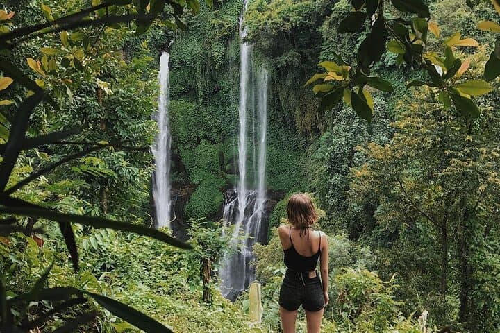 Sekumpul Waterfall & Bedugul Highlights Day Tour photo 2