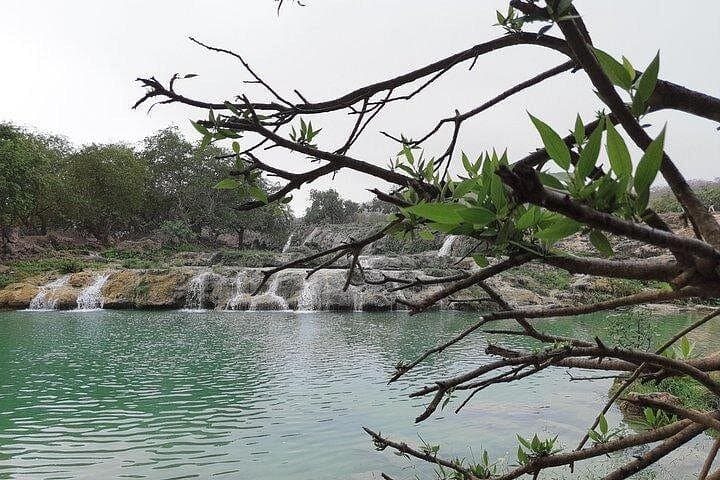 East Salalah Mountain Safari: Full-Day Wadi Darbat, Jabal Samhan & Tawi Ateer photo 3