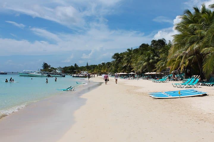 Roatán Zipline and Snorkel Combo: Canopy Flights and Coral Gardens in One Day photo 4
