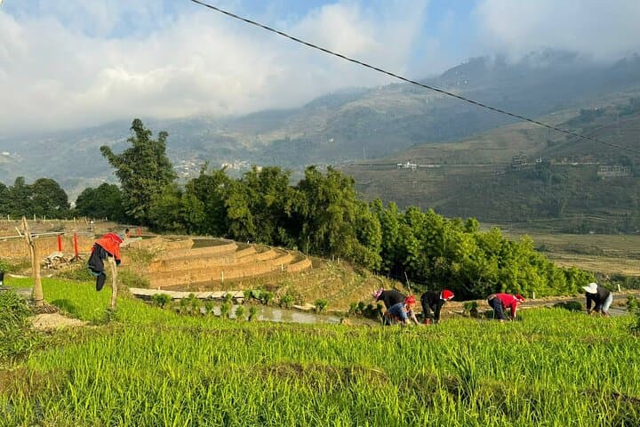 Sapa 3-Day Trek from Ha Noi: Lao Chai to Ban Ho Homestays with Local Guides photo 5
