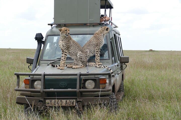 5-Day Camping Safari: Tarangire, Serengeti & Ngorongoro Crater