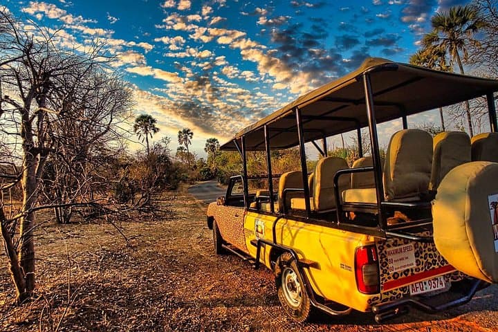 Open-Jeep Game Drive in Zambezi National Park — Victoria Falls Safari Experience photo 3