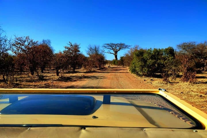 Open-Jeep Game Drive in Zambezi National Park — Victoria Falls Safari Experience photo 1