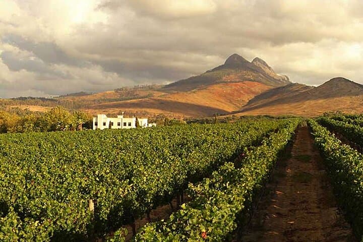 Exploring South Africa’s Cape Winelands: Paarl, Stellenbosch & Franschhoek Wine Tour from Cape Town photo 2