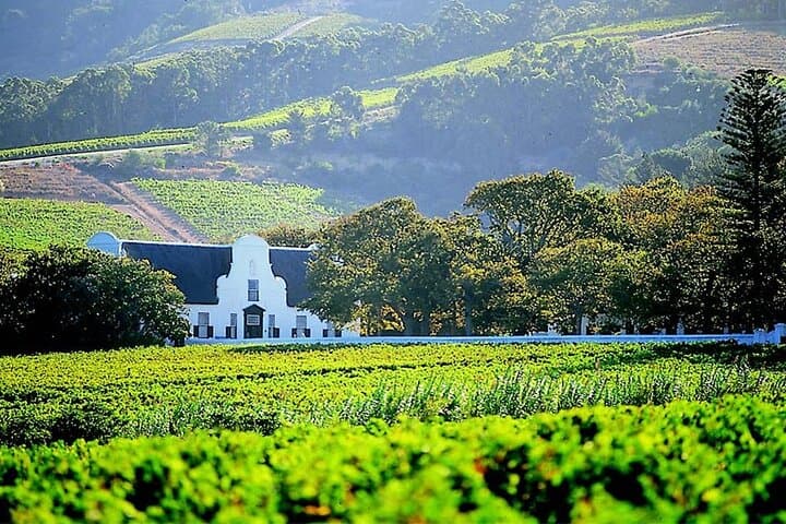 Exploring South Africa’s Cape Winelands: Paarl, Stellenbosch & Franschhoek Wine Tour from Cape Town photo 4