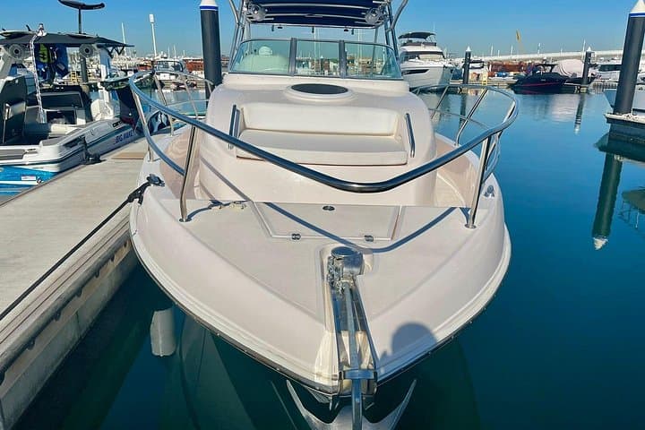 Dubai Marina & Palm Jumeirah Private Boat Tour: 2-Hour Small-Group Cruise photo 4