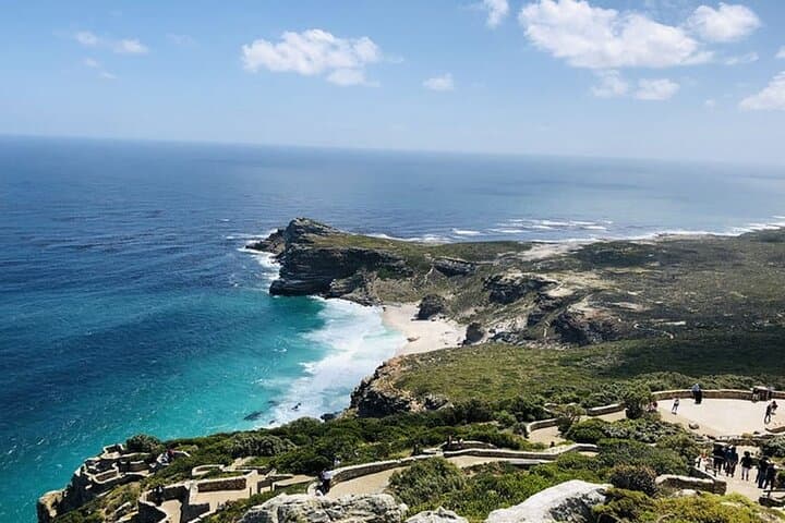 Cape Peninsula Day Tour: Table Mountain, Cape Point & Boulders Beach Penguins photo 5
