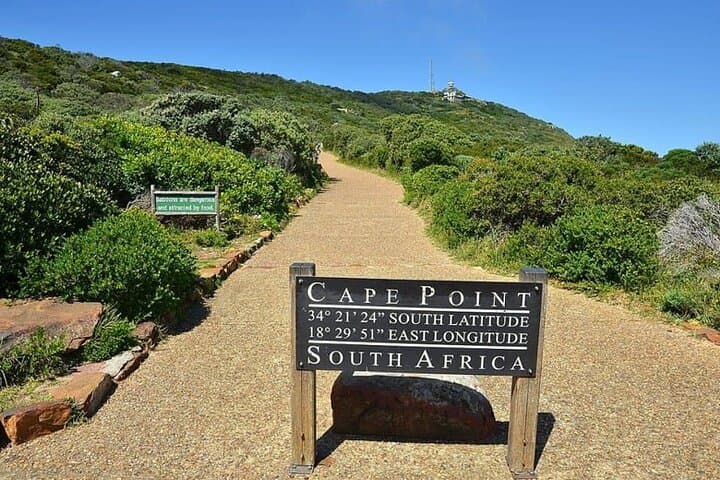 Cape Peninsula Day Tour: Table Mountain, Cape Point & Boulders Beach Penguins photo 6
