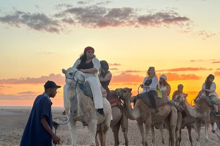 Agafay Desert Quad Biking, Camel Ride & Dinner Show — Day Trip from Marrakech photo 5