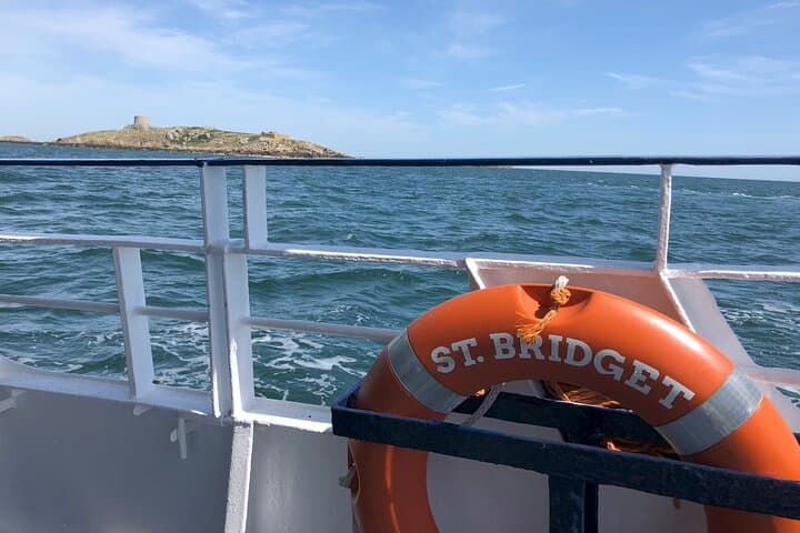 Howth Cliffs & Ireland's Eye Cruise — 1-Hour Scenic Boat Tour from Howth Harbour photo 6
