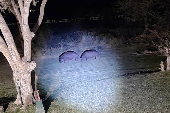 Bush Stargazing by 4x4 at Victoria Falls: Night Safari & Astronomy Guide photo 4