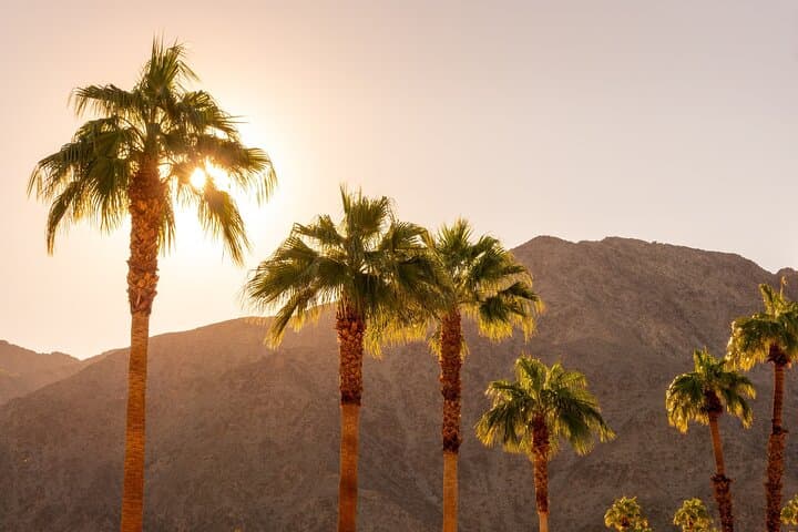 Drive Joshua Tree & Palm Springs: Self-Guided Audio Tour of Desert Modernism and Rock Formations photo 5