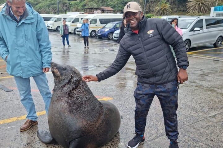 Private Cape Peninsula Day Tour: Table Mountain, Chapman's Peak & Cape Point Wildlife photo 2