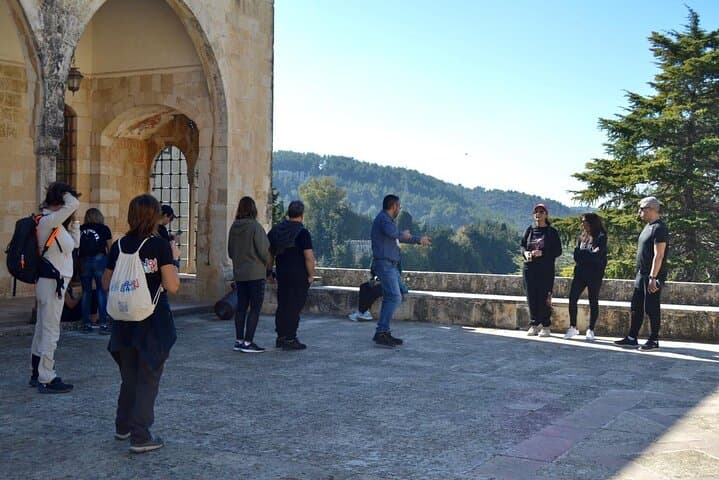 Chouf Day Escape: History, Cedars and Wine Tasting from Beirut photo 4