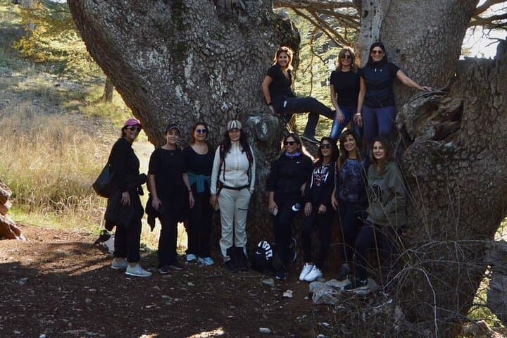 Chouf Day Escape: History, Cedars and Wine Tasting from Beirut photo 5