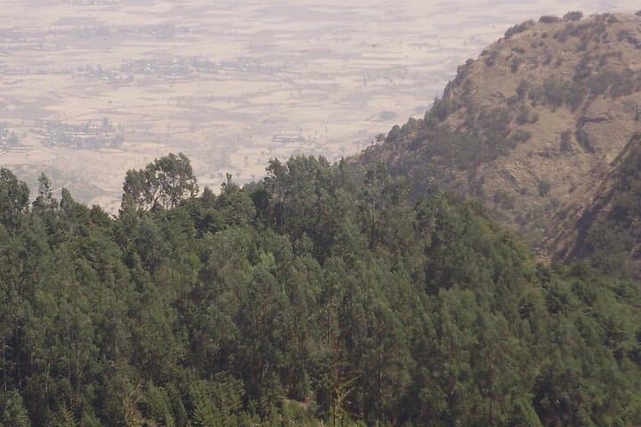 2-Day Trek Around Lalibela: Gelada Trails & High-Plateau Views photo 3