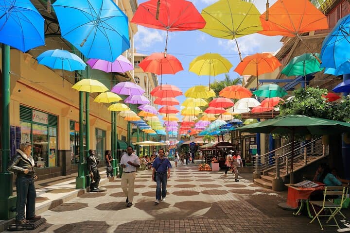 Full-Day Private Car Tour of Northern Mauritius — Port Louis to Pamplemousses