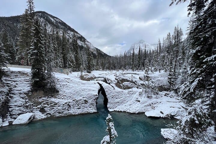 Banff to Peyto: Full-Day Private Tour to Lake Louise, Emerald Lake & Icefields Parkway photo 2