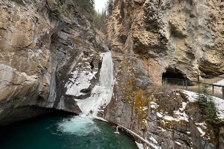 Banff to Peyto: Full-Day Private Tour to Lake Louise, Emerald Lake & Icefields Parkway photo 3