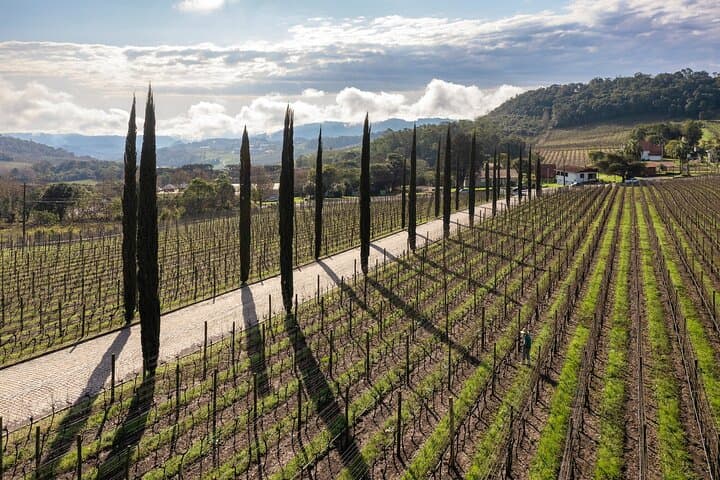 Private Day Trip to Vale dos Vinhedos: Wine Tastings & Lunch from Porto Alegre photo 1