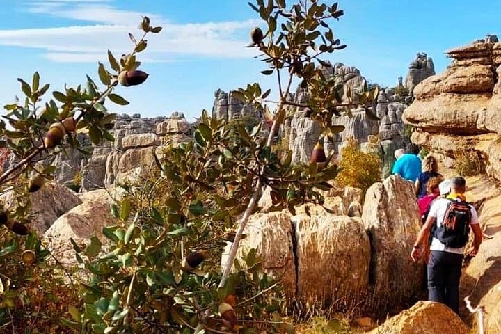 Torcal and Antequera Day Tour: Karst Hikes, Dolmens & Andalusian Views photo 1