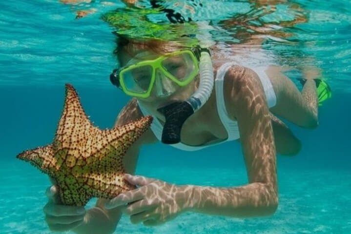 Snorkel Montego Bay's Coral Reefs and Margaritaville on the Hip Strip