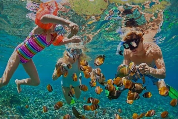 Snorkel Montego Bay's Coral Reefs and Margaritaville on the Hip Strip photo 2