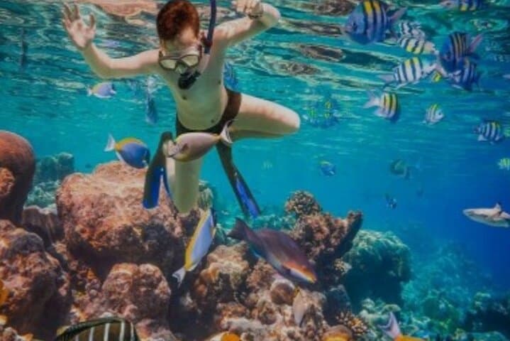 Snorkel Montego Bay's Coral Reefs and Margaritaville on the Hip Strip photo 3