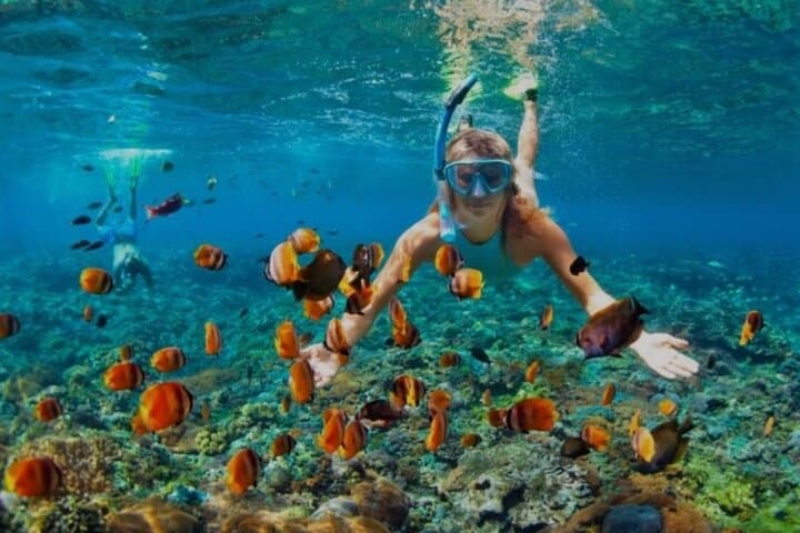 Snorkel Montego Bay's Coral Reefs and Margaritaville on the Hip Strip photo 4