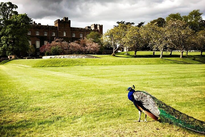 Four Cities, One Day: St Andrews, Dundee, Perth & Stirling from Edinburgh photo 5