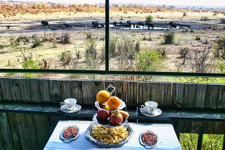 Private Game Drive with High Tea at Chamabondo — Victoria Falls Safari Experience photo 2