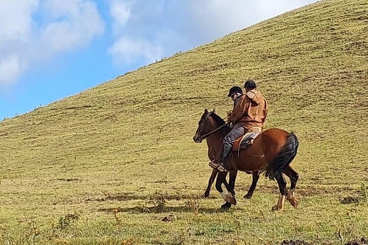 3-Hour Terevaka Horseback Tour — Easter Island Summit Ride with 360° Ocean Views photo 2