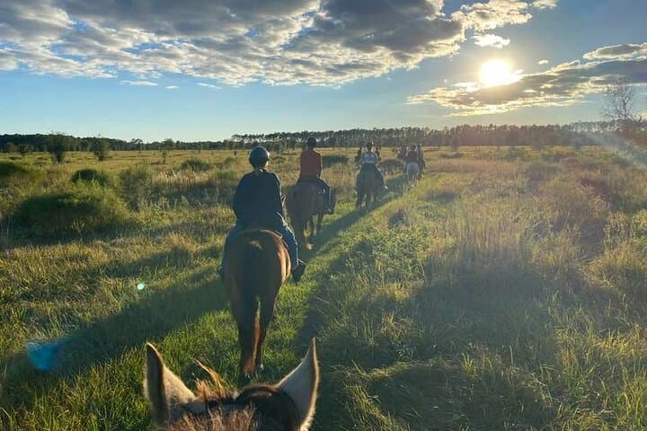 Horseback Ride on Scenic Lake Louisa Trails: Guided Equine Tours near Clermont, FL