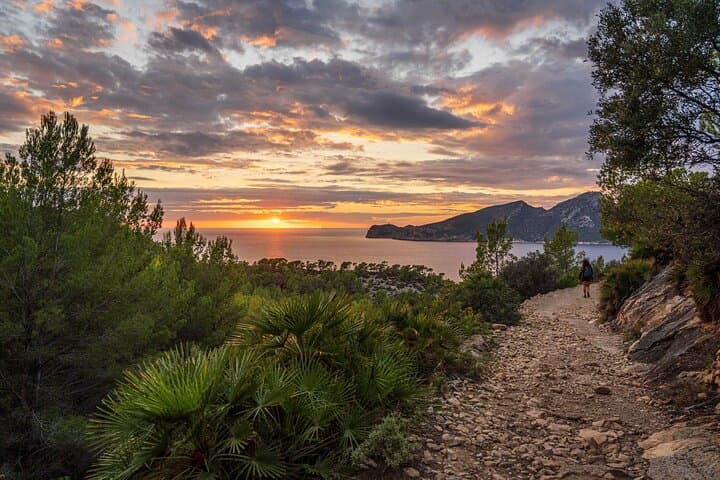 Sunset Coastal Hike from Port Andratx to Sant Elm — Dragonera Views & Tapas photo 1
