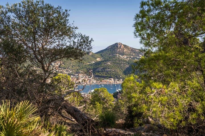 Sunset Coastal Hike from Port Andratx to Sant Elm — Dragonera Views & Tapas photo 2