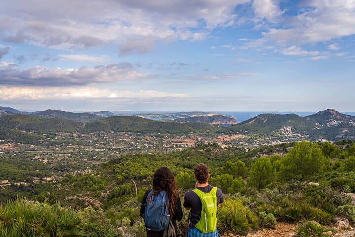 Sunset Coastal Hike from Port Andratx to Sant Elm — Dragonera Views & Tapas photo 3