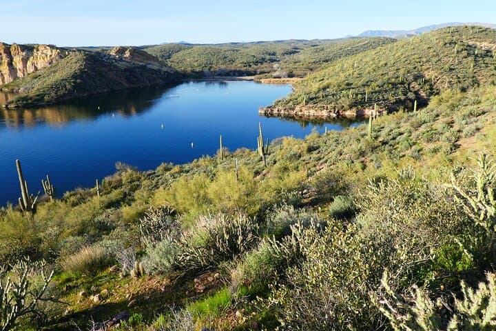 Guided Hike at Saguaro Lake View — Butcher Jones Trail Near Mesa, AZ photo 5