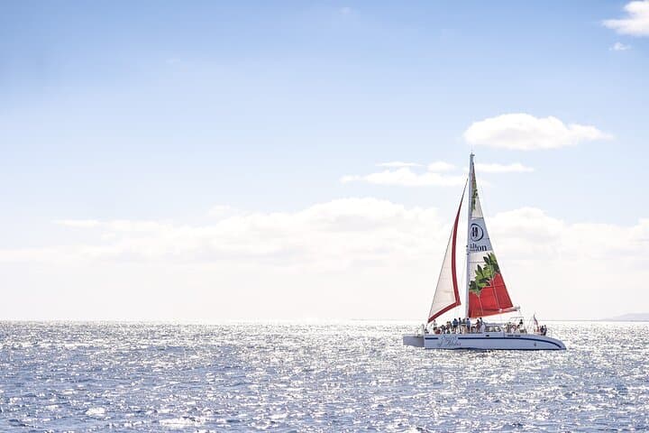 Explore Hawaii’s Kohala Coast on a Waikoloa Turtle Catamaran Snorkel Sail
