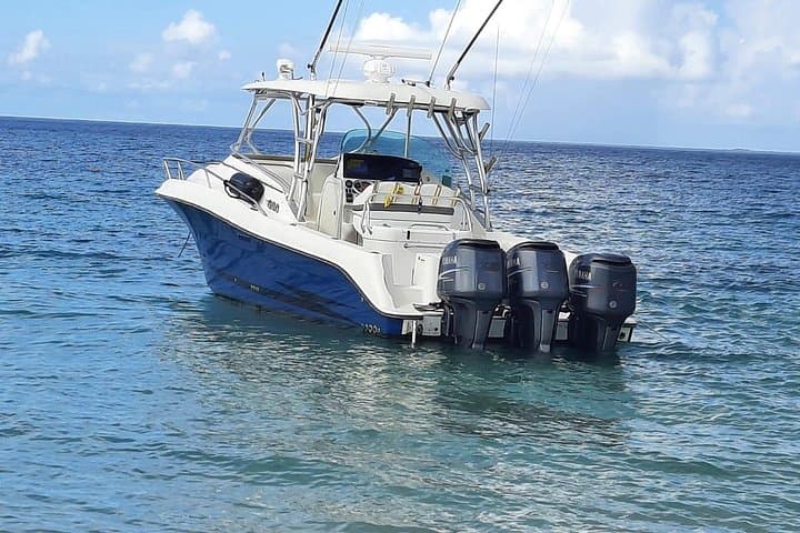 Private Boat Trip to Cayo Icacos Island: Snorkel and Beach from Fajardo photo 4