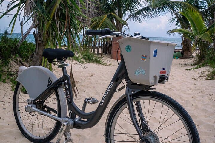 Playa del Carmen Bike Rentals: Explore the Riviera Maya on Two Wheels photo 4