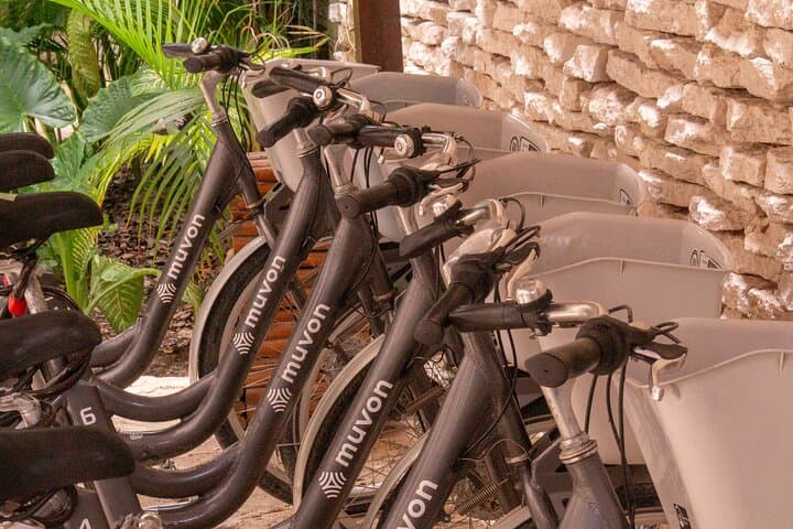 Playa del Carmen Bike Rentals: Explore the Riviera Maya on Two Wheels photo 5