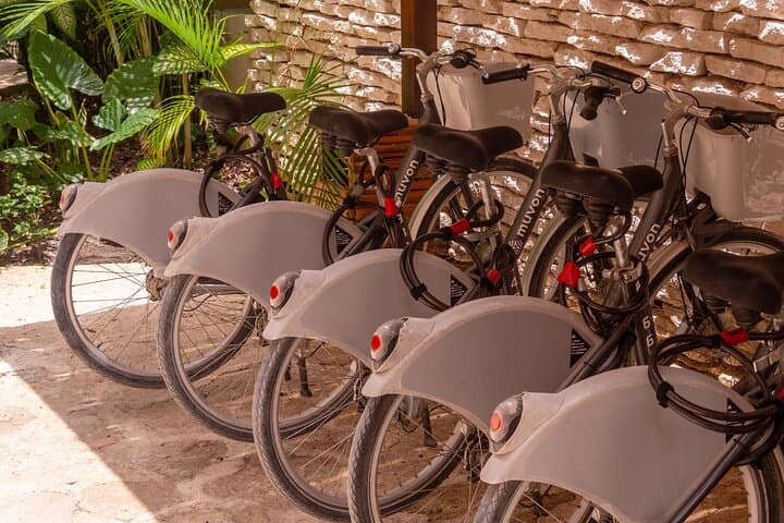 Playa del Carmen Bike Rentals: Explore the Riviera Maya on Two Wheels photo 6
