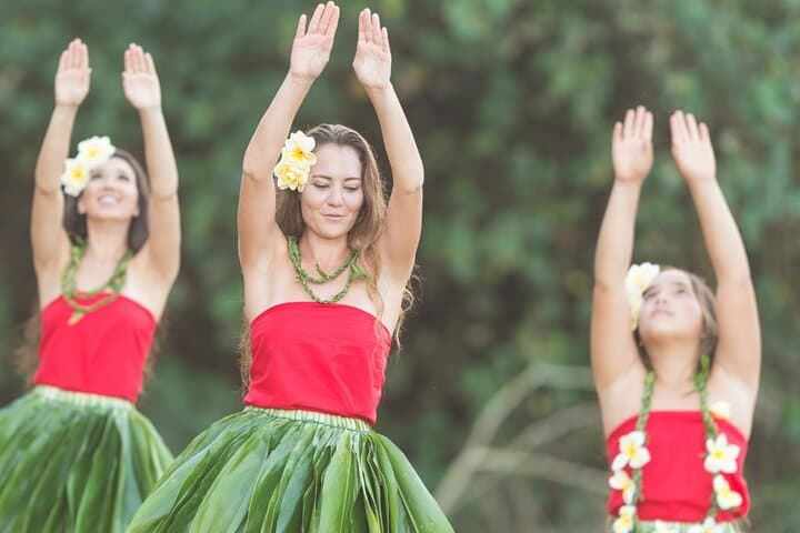 Private North Shore Luau Shuttle from Honolulu — Round-Trip Transport to Toa Luau