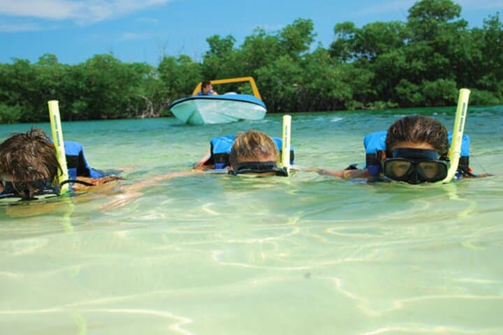 Nichupté Lagoon Speedboat & Mayan Reef Snorkel — Cancun Jungle Tour photo 6