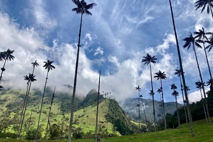 Private Cocora Valley & Salento Tour with Transportation | Quindío Day Trip photo 4